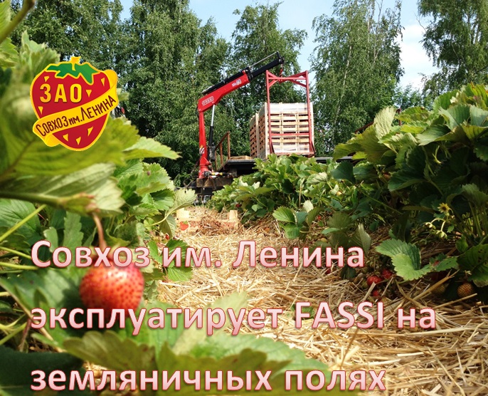 Fassi